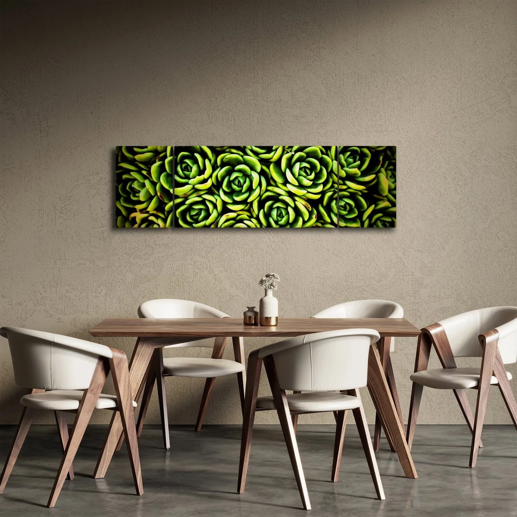 Obraz bez grzywki (170x50 cm)