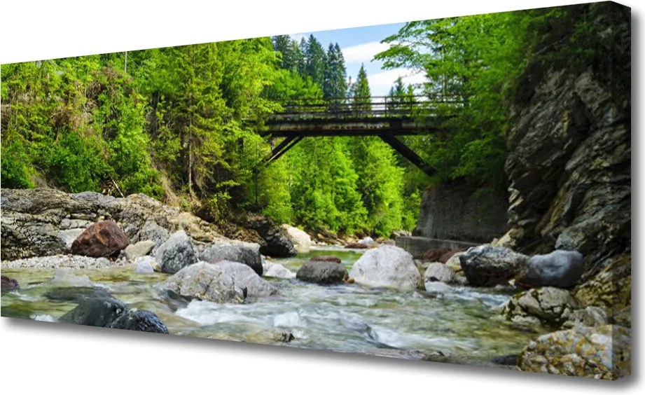 Obraz canvas Mostek w Cieniu Drzew