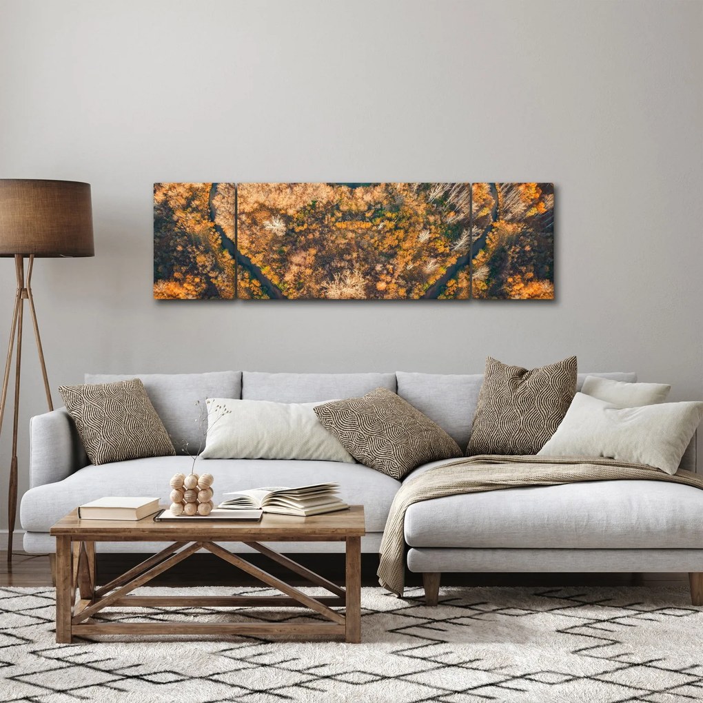 Obraz - Rzeka w kształcie serca (170x50 cm)