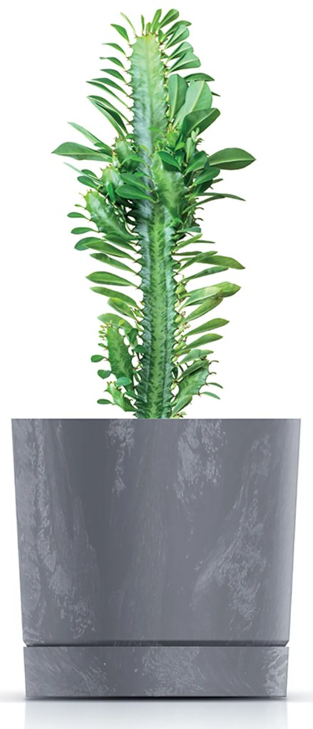 Donica ogrodowa Tubo P Beton Effect 23,9 cm marengo PROSPERPLAST