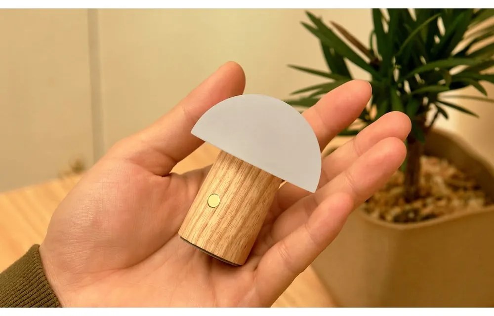 Lampa stołowa LED ze ściemniaczem z litego drewna jesionowego (wysokość 7 cm) Alice – Gingko