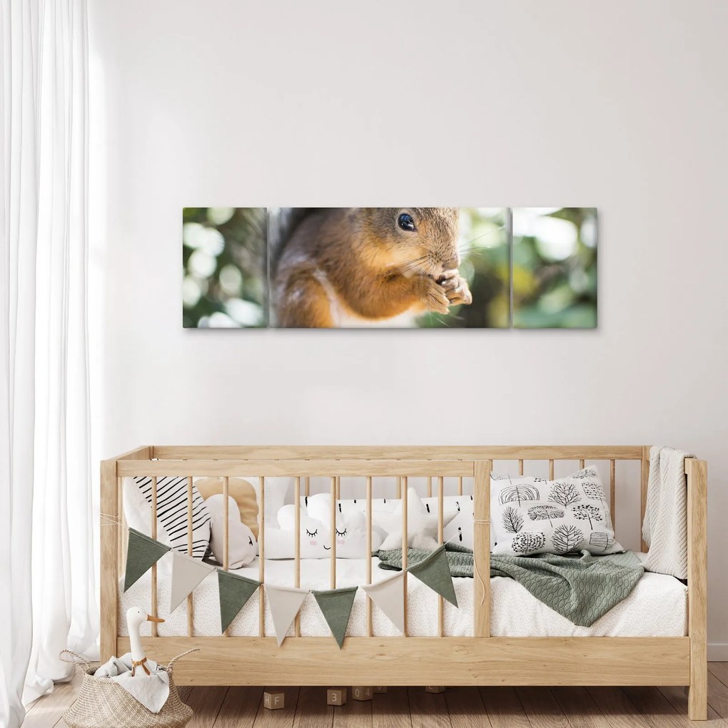Obraz wiewiórki (170x50 cm)