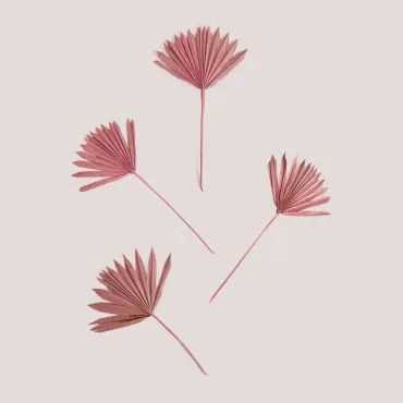 Pakiet 4 Suchych Gałązek Dekoracyjnych Urpek Light Pink - Sklum