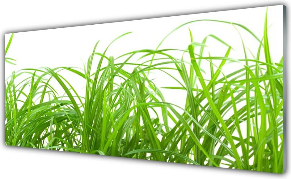 Panel Szklany Soczysta Zielona Trawa