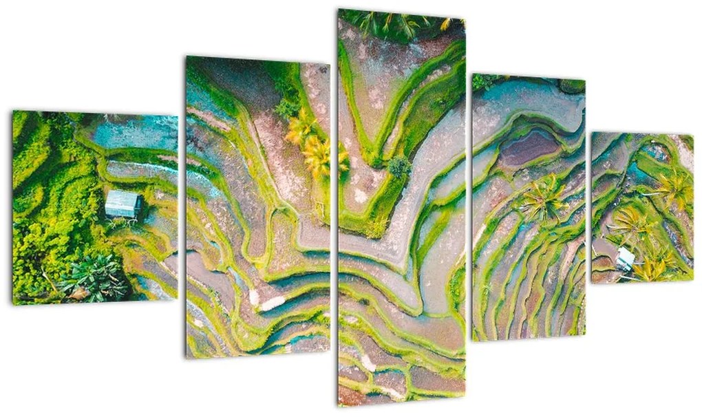 Obraz pól ryżowych z lotu ptaka (125x70 cm)
