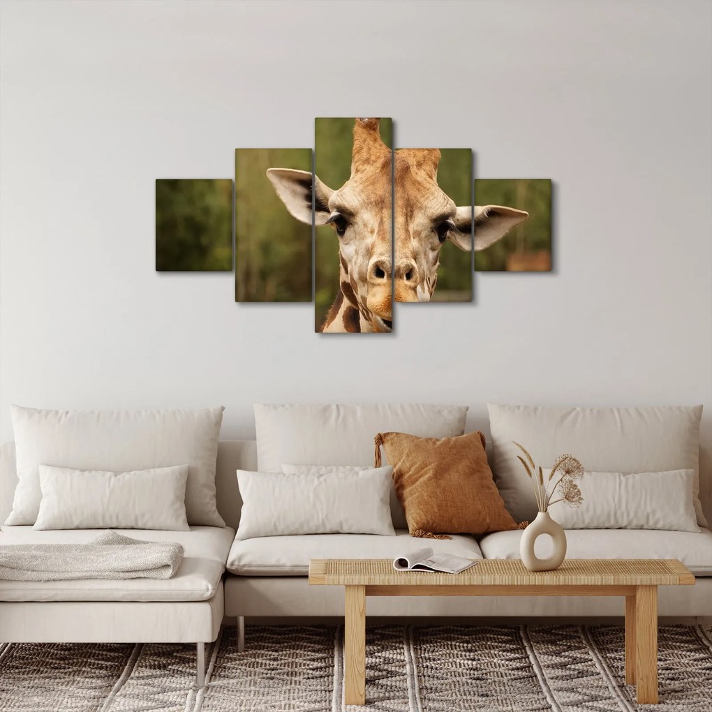 Obraz żyrafy (125x70 cm)