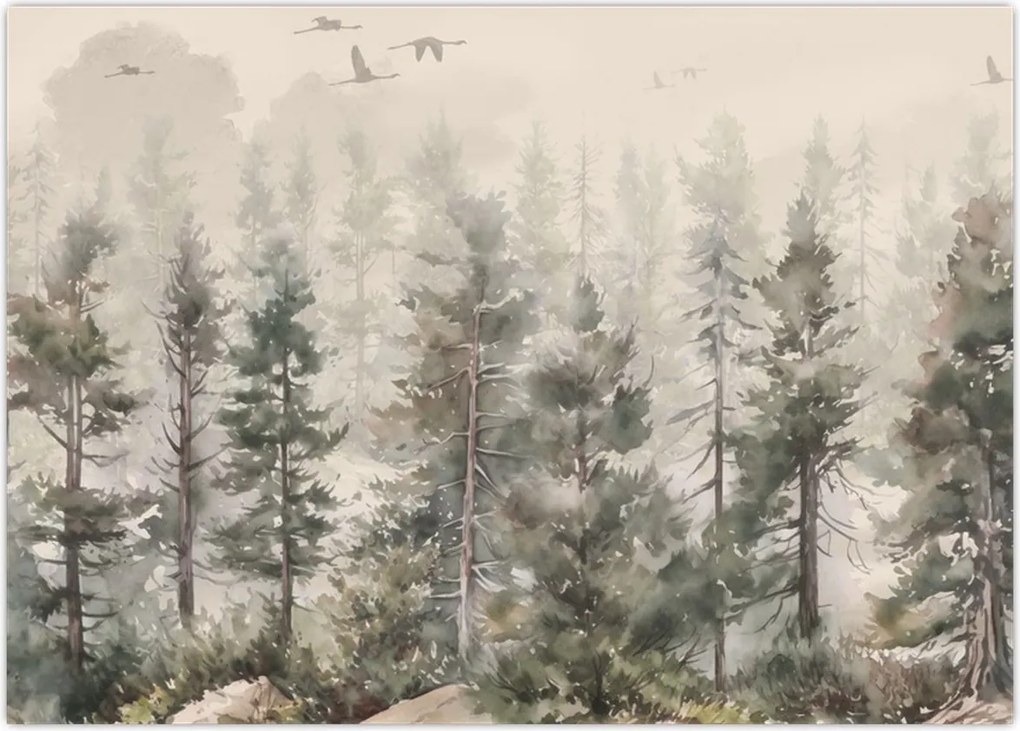 Obraz - Pine forest I., aquarel (70x50 cm)