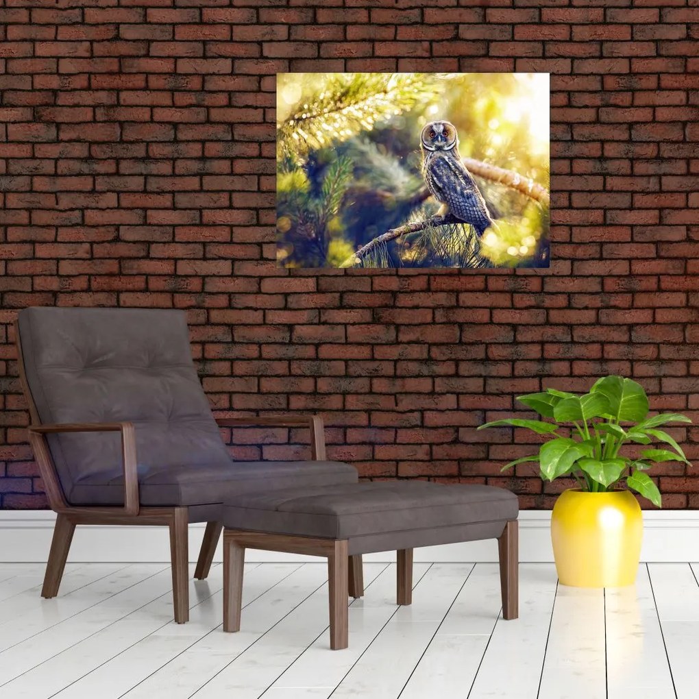 Obraz sowy na drzewie (70x50 cm)