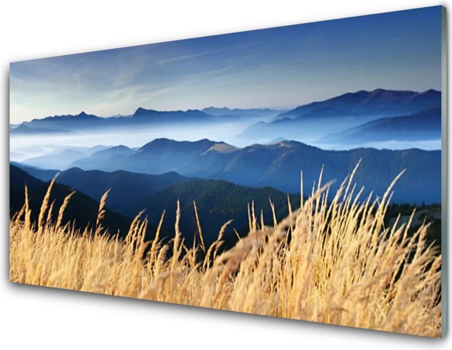 Panel Szklany do Kuchni Złociste Łany Zboża
