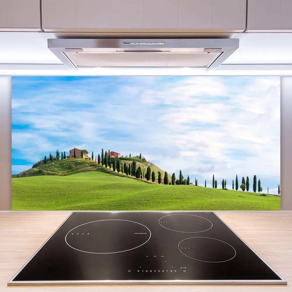 Panel nad blat kuchenny Samotne Drzewo na Polanie