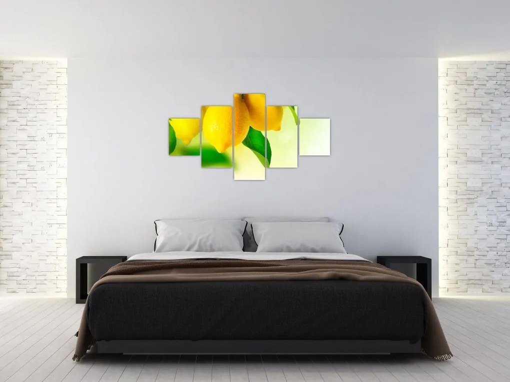 Obraz cytryn (125x70 cm)