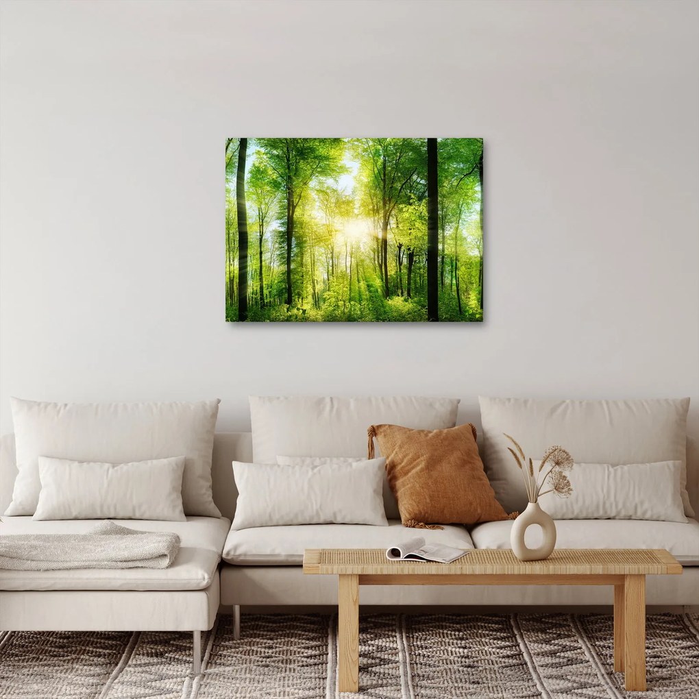 Obraz - Świt w lesie (70x50 cm)