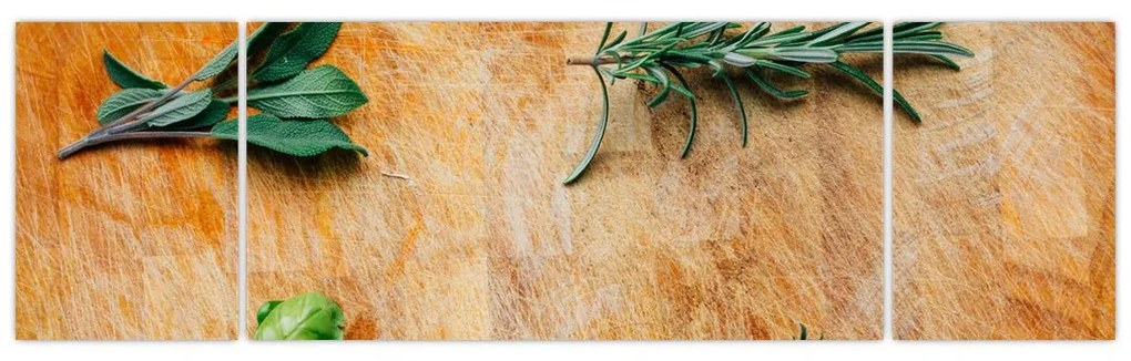 Obraz - Zioła (170x50 cm)