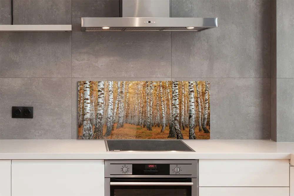 Panel szklany do Kuchni Jesienne Drzewa w Złocie