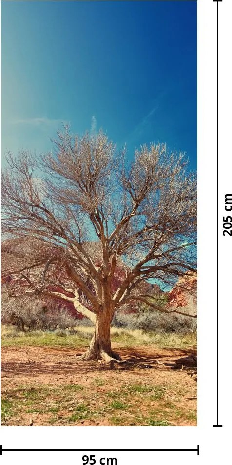 Fototapeta na drzwi - Drzewo na pustyni (95x205cm)