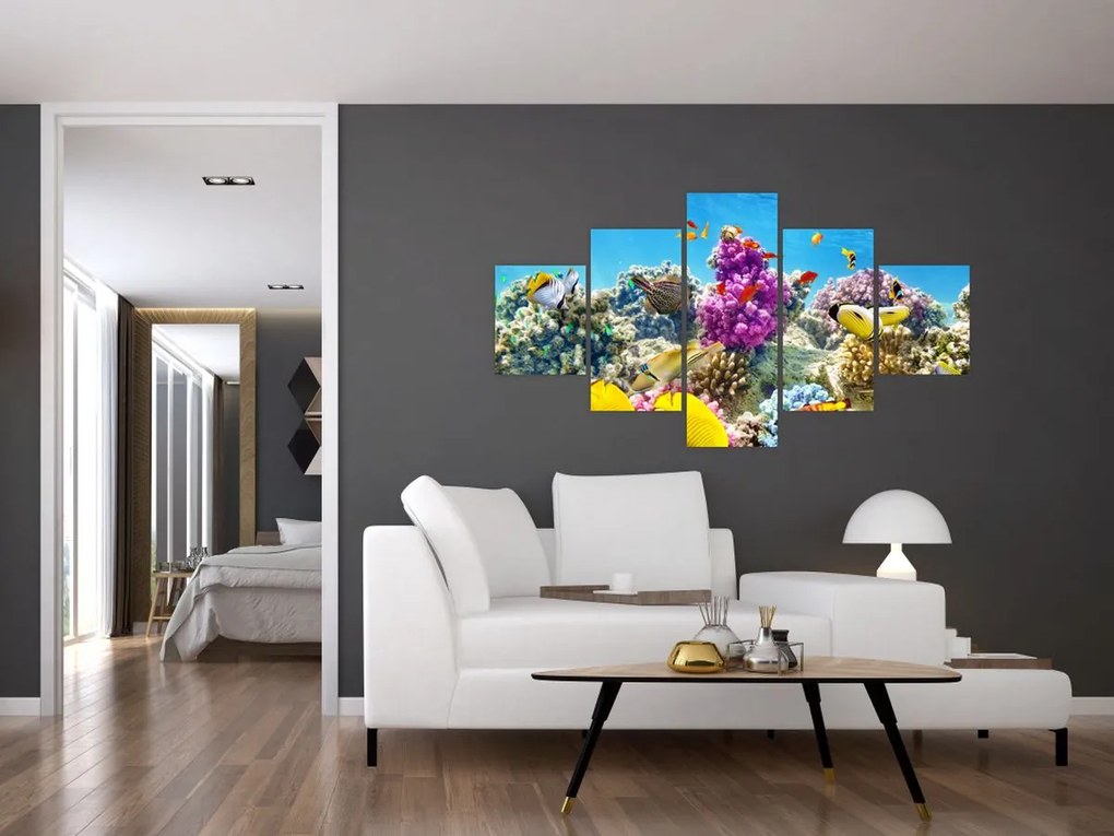 Obraz - Morski świat (125x70 cm)