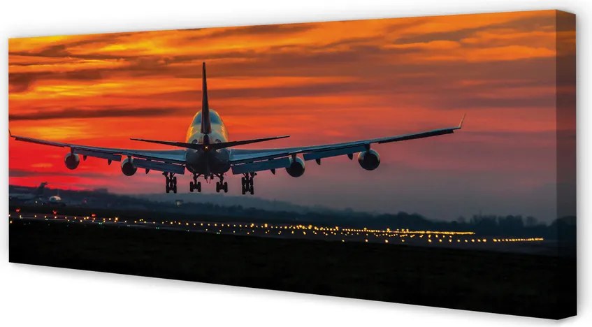 Zdjęcie na płótnie Lot o Zachodzie Słońca