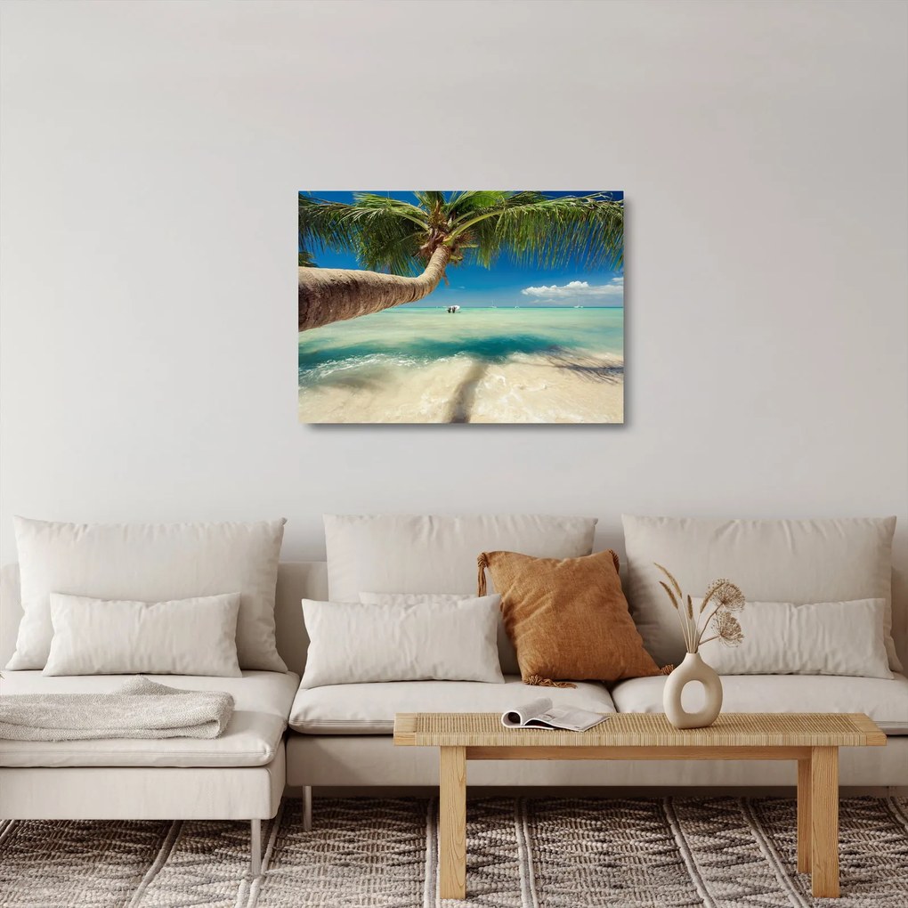 Obraz na szkle - Czyste morze z palmą (70x50 cm)