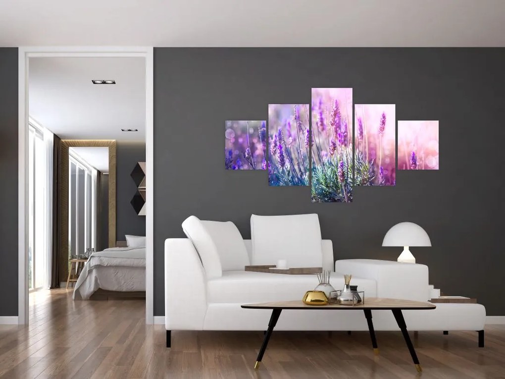 Obraz - Lawenda w słońcu (125x70 cm)