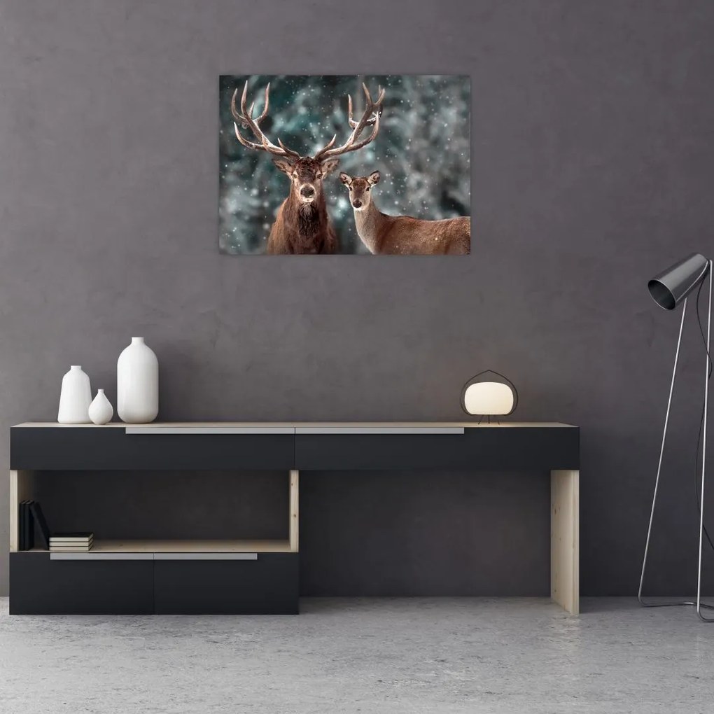 Obraz - Jeleń i łania w zaśnieżonym lesie (70x50 cm)