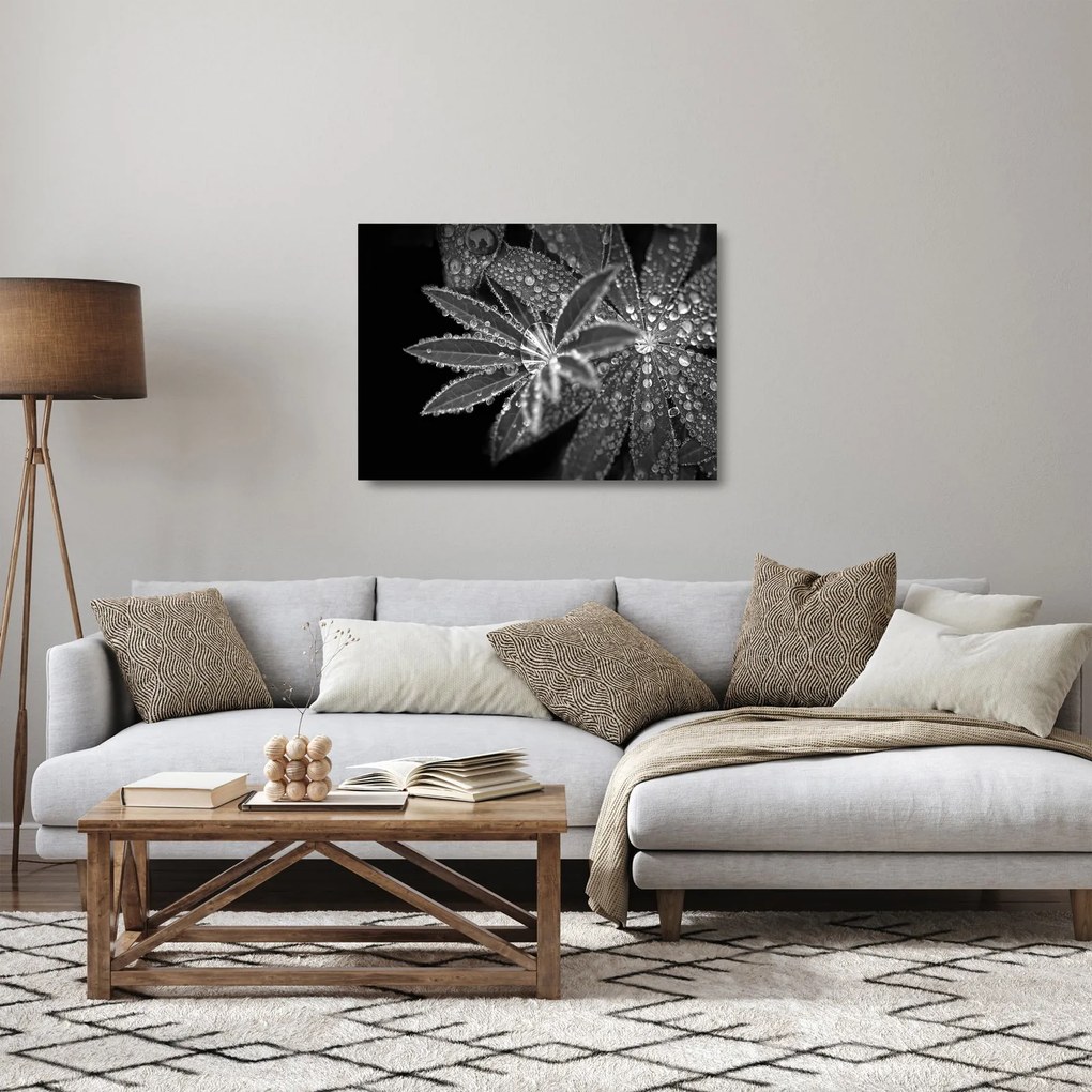 Obraz na szkle - Krople (70x50 cm)