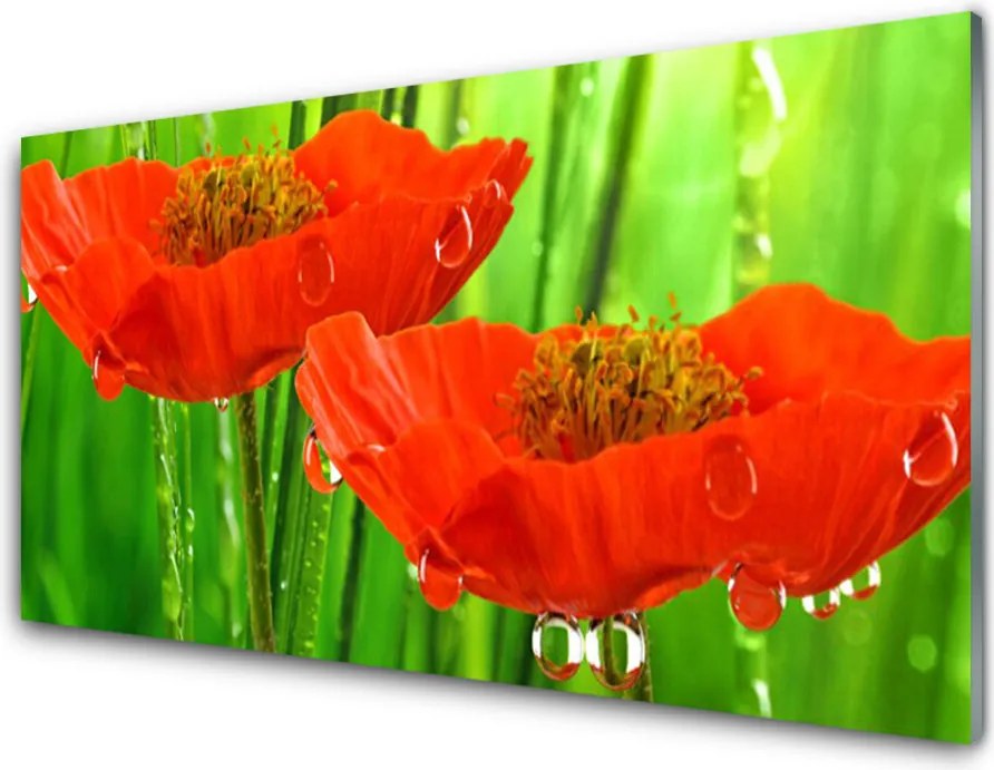 Szkło Ozdobne do Kuchni Klasyczne Maki W Rozkwicie