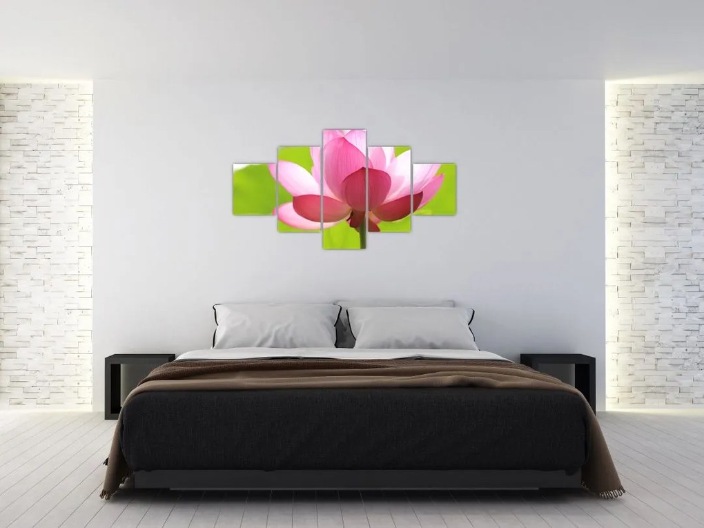 Obraz kwiatu lotosu (125x70 cm)