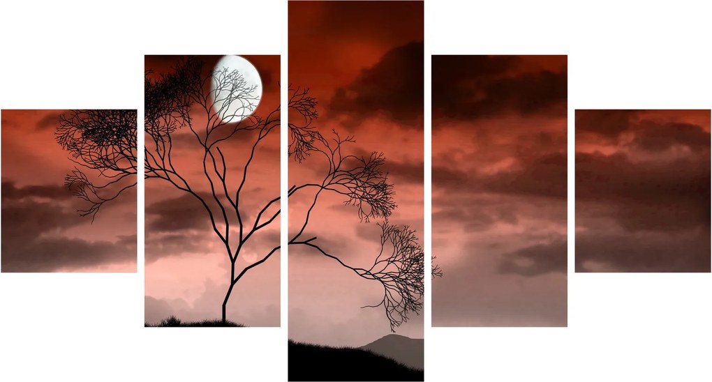 Obraz - Księżyc oświetlający noc (125x70 cm)