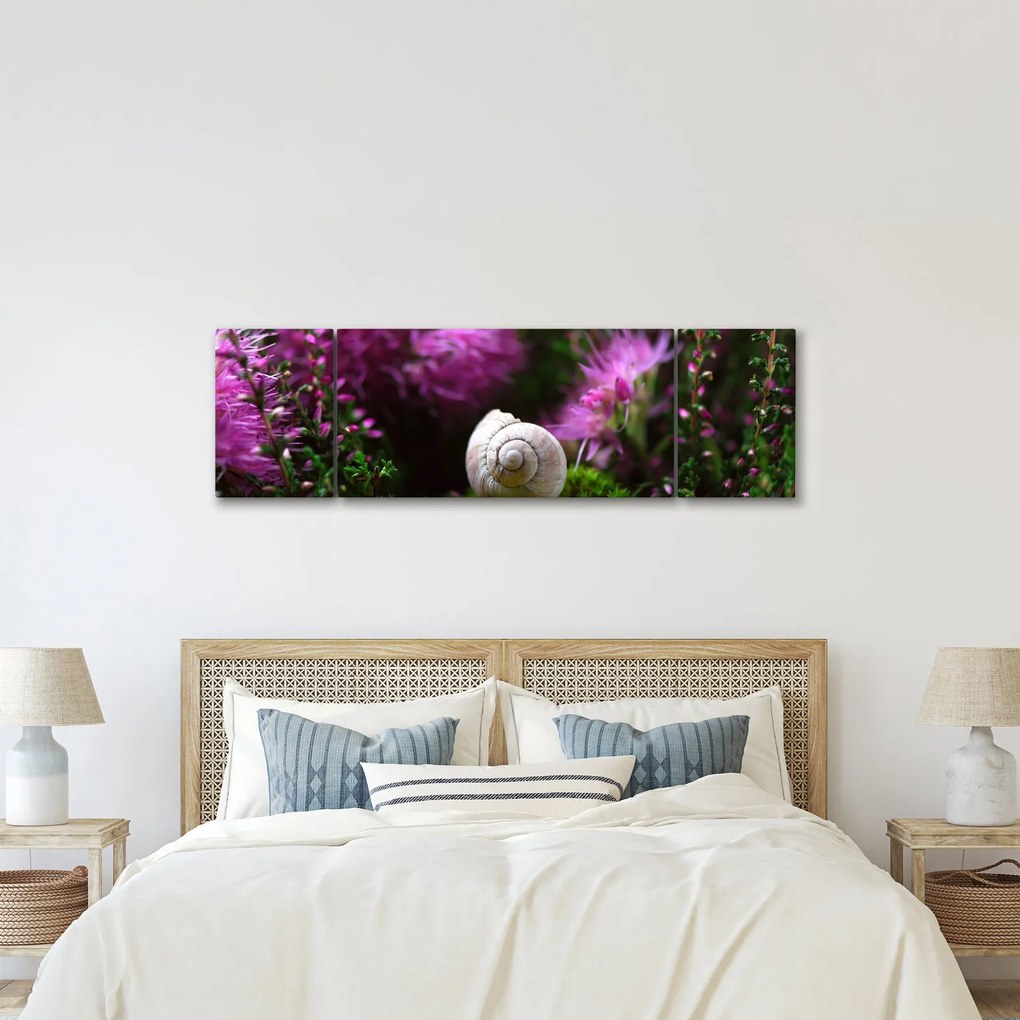 Obraz - Muszla ślimaka (170x50 cm)