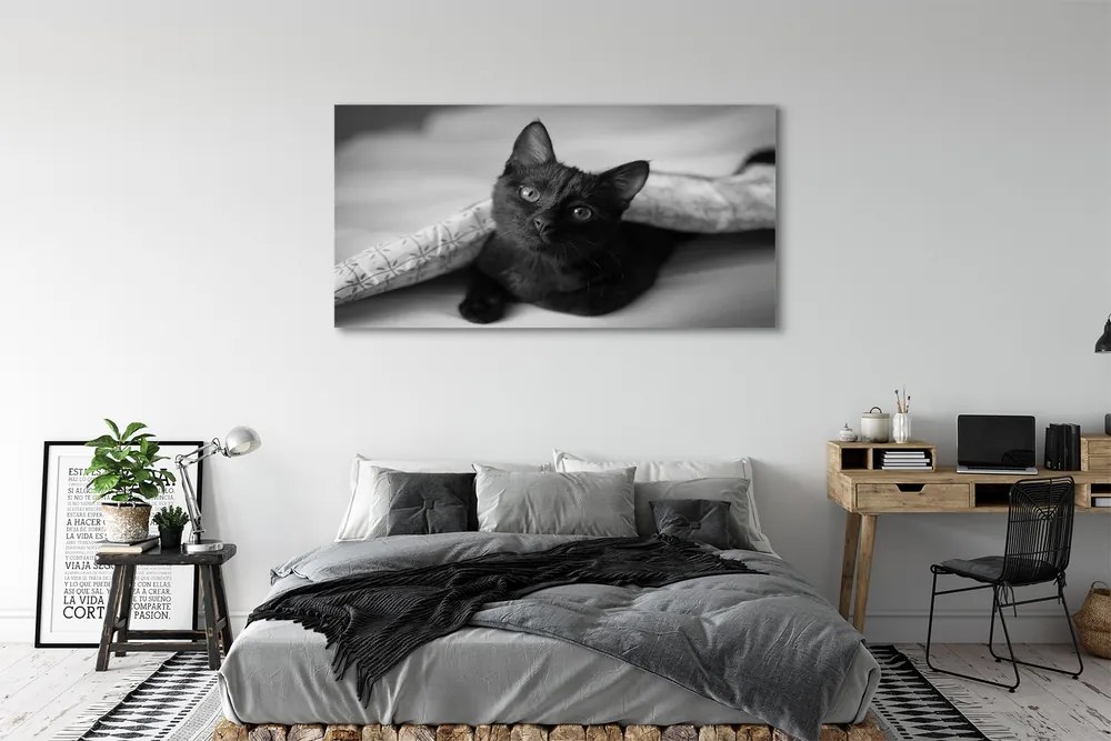 Obraz na płótnie Przytulny Kot pod Kołdrą