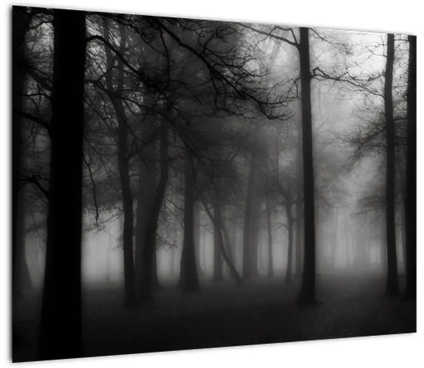 Obraz - Las we mgle (70x50 cm)