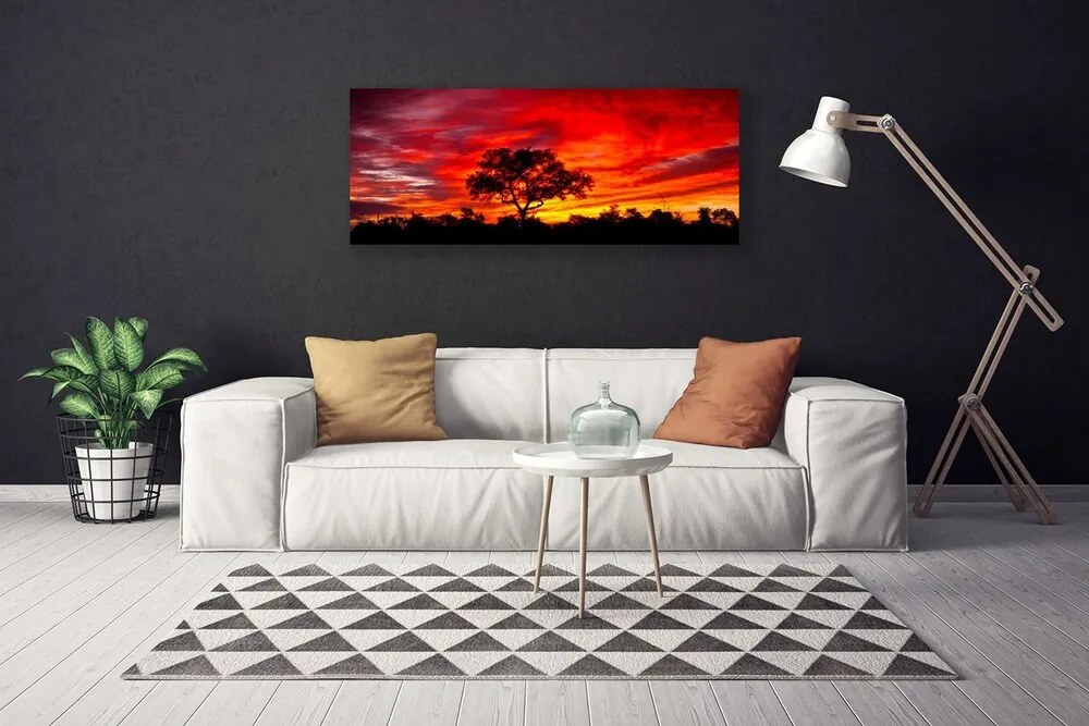 Obraz canvas na ścianę Głusza Leśnej Natury