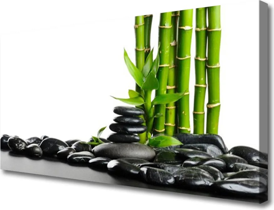 Obraz na płótnie Artystyczne Pędy Bambusa