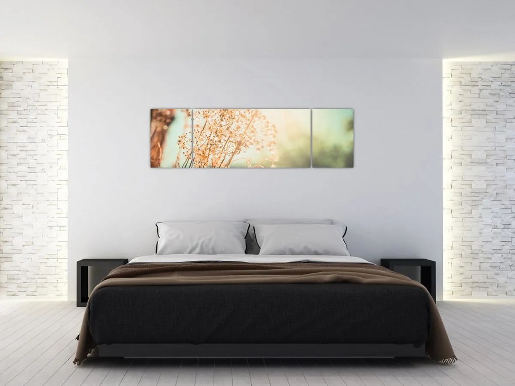 Obraz - Rośliny po deszczu (170x50 cm)