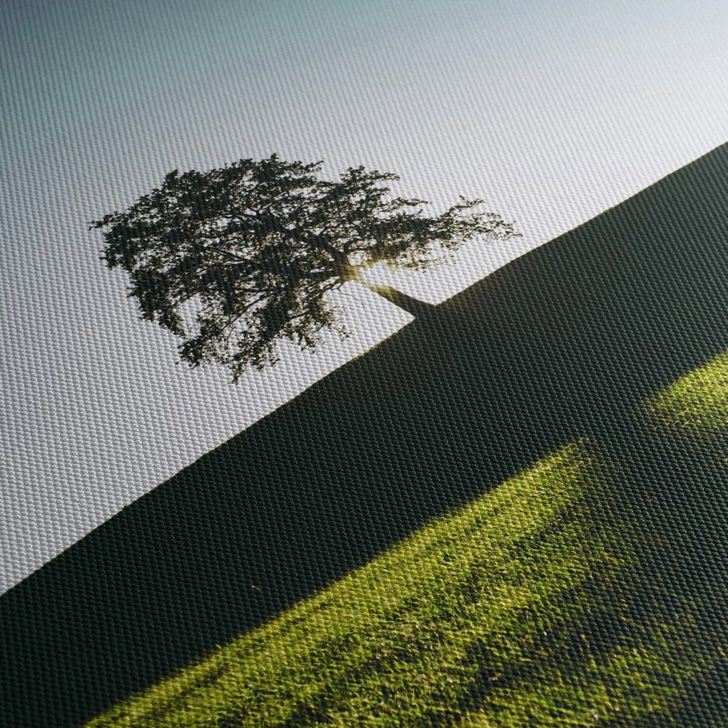 Obraz natury - drzewo (125x70 cm)