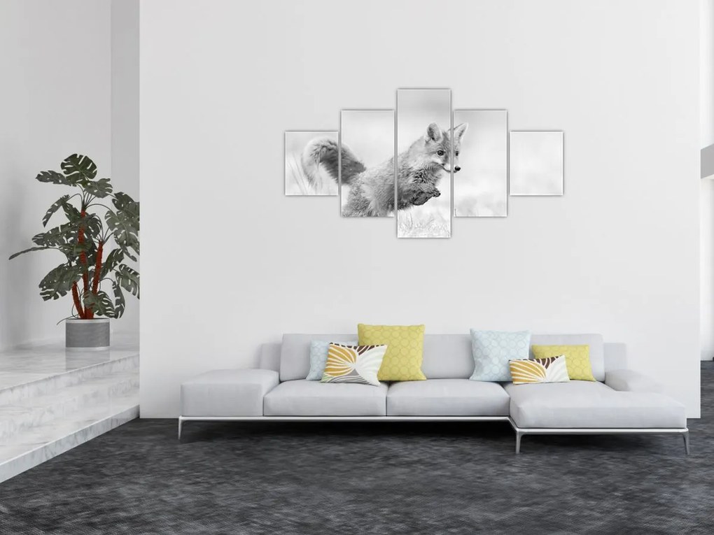 Obraz - Skaczący lis, czarno - biały (125x70 cm)