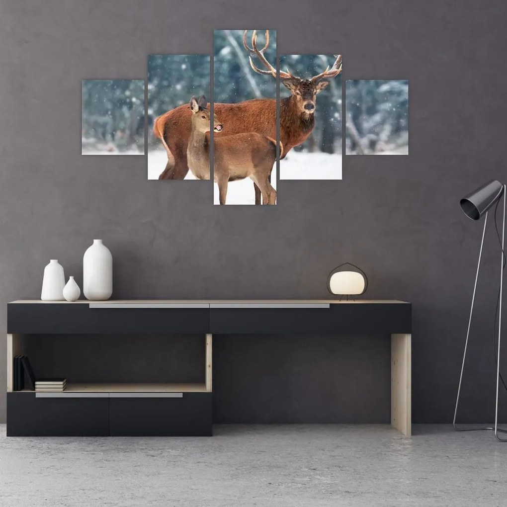 Obraz Jelenia z łanią (125x70 cm)