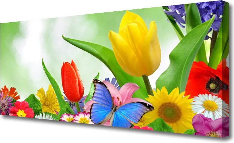 Obraz canvas Kolorowy Motyl wśród Płatków