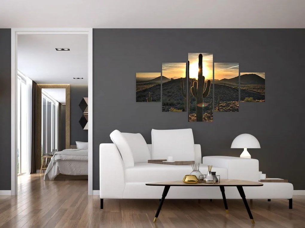 Obraz - kaktusy w słońcu (125x70 cm)