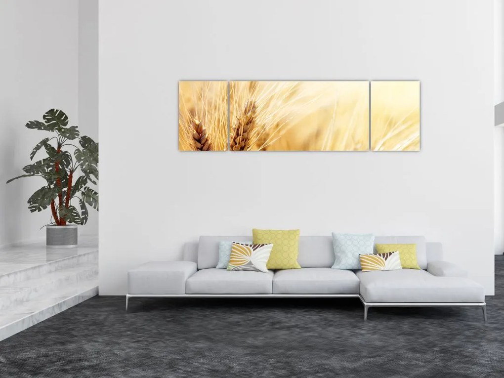 Obraz - szczegóły ziarna (170x50 cm)