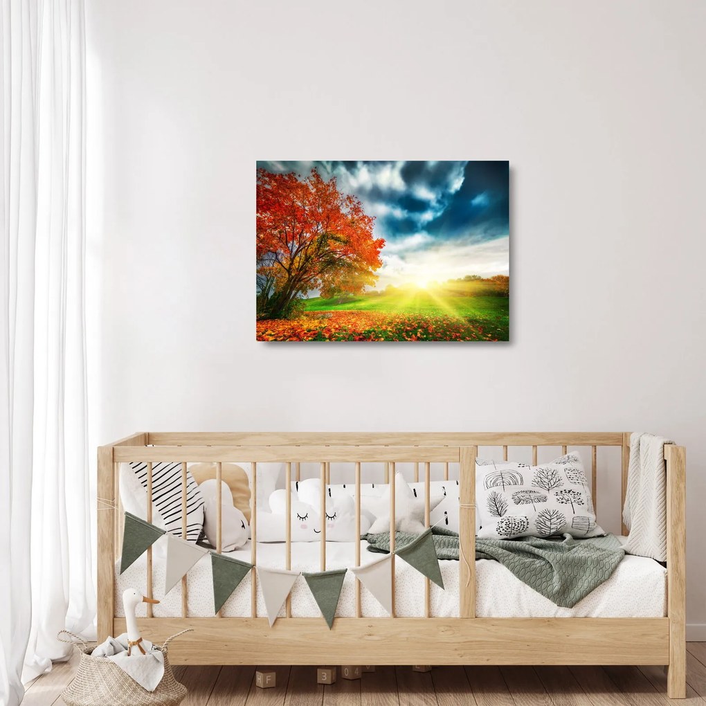 Obraz na szkle skąpanego w słońcu krajobrazu (70x50 cm)