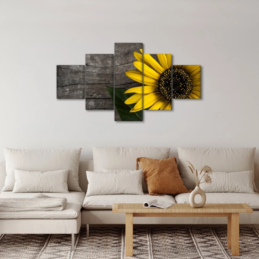 Obraz - Kwiat słonecznika (125x70 cm)
