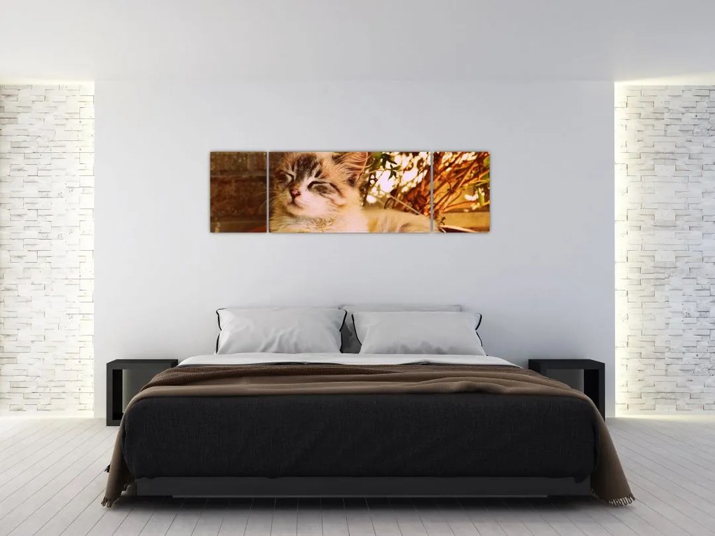 Obraz kota w doniczce (170x50 cm)
