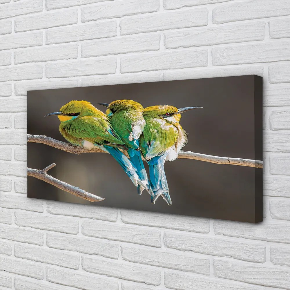 Zdjęcie na płótnie Dwa Ptaki na Gałęzi