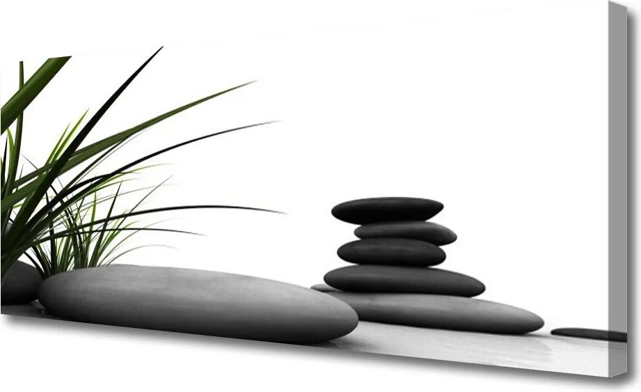 Obraz canvas Graficzny Motyw Trawy