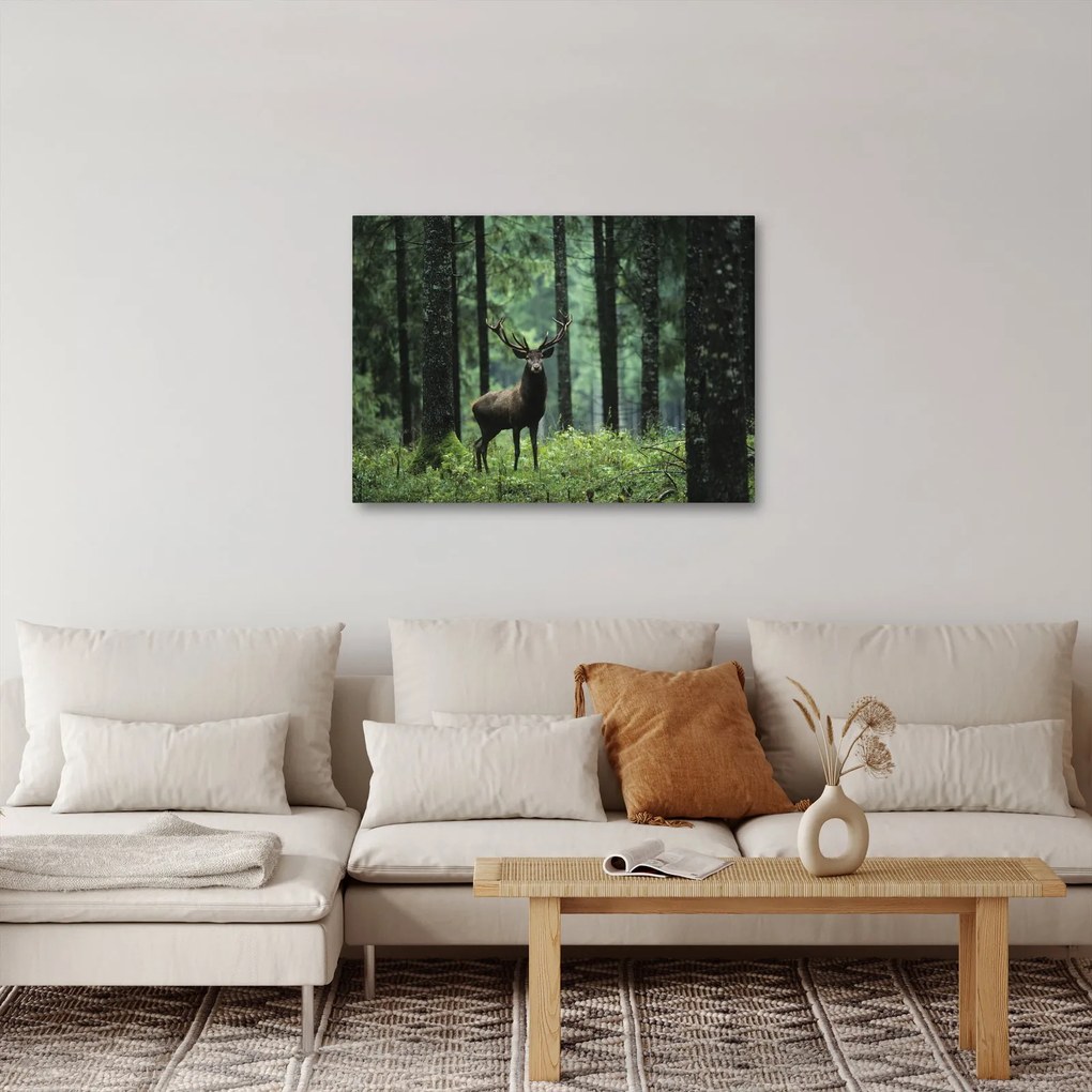 Obraz - Jeleń w głebokim lesie (70x50 cm)