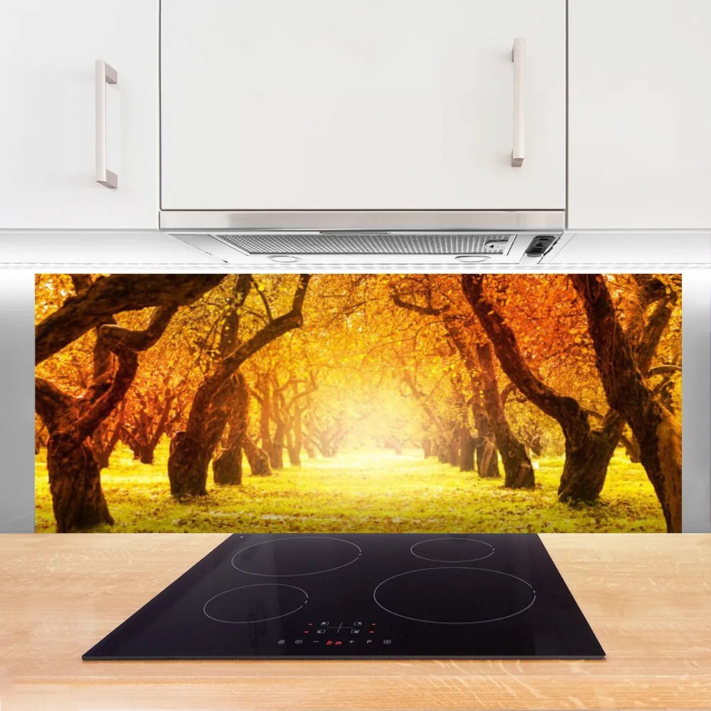 Panel Szklany Aleja W Cieniu Drzew