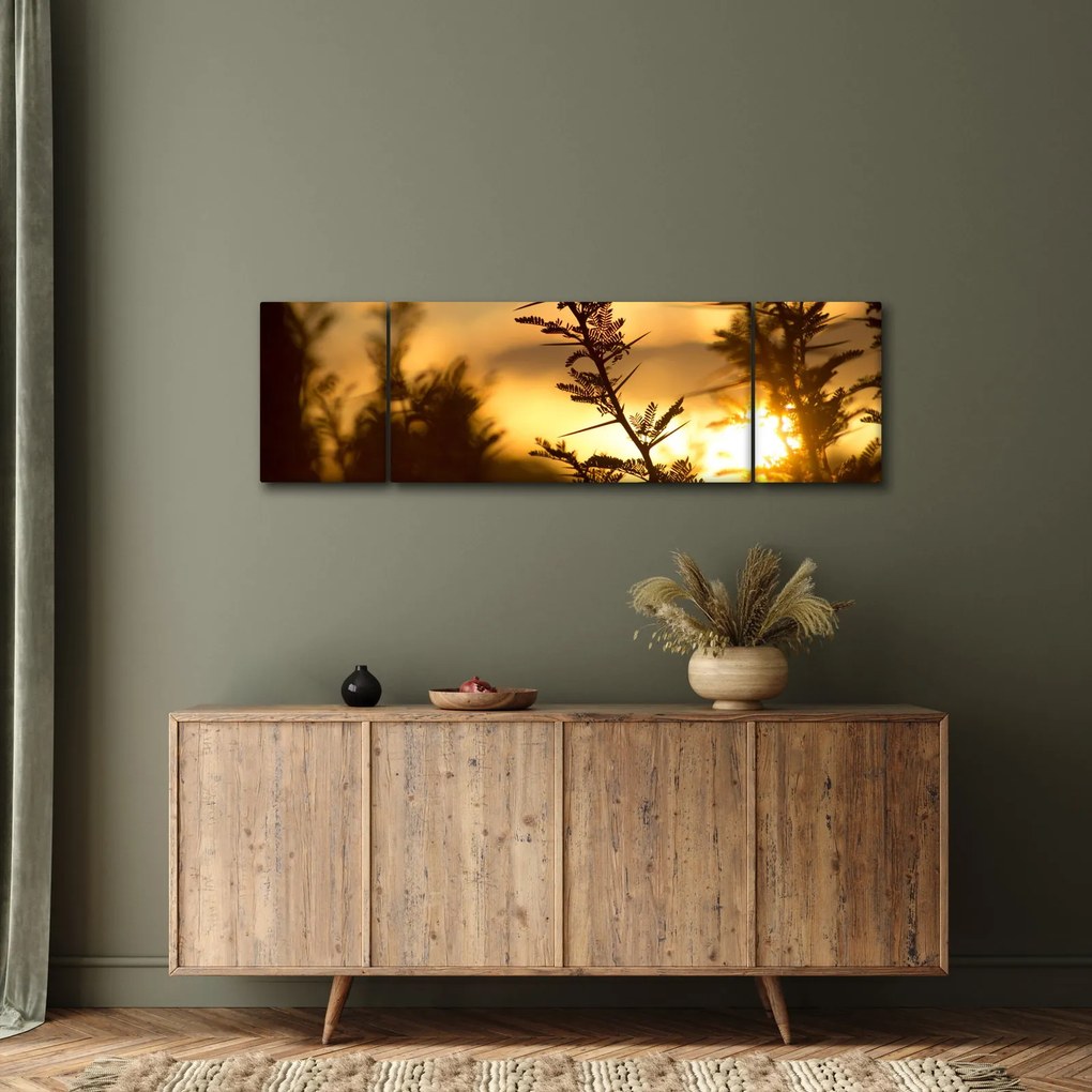 Obraz - słońce zachodzące za drzewami (170x50 cm)