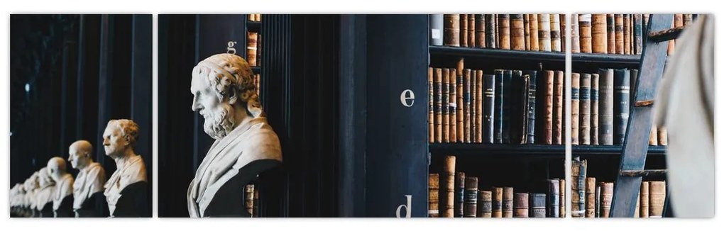 Obraz - W bibliotece (170x50 cm)