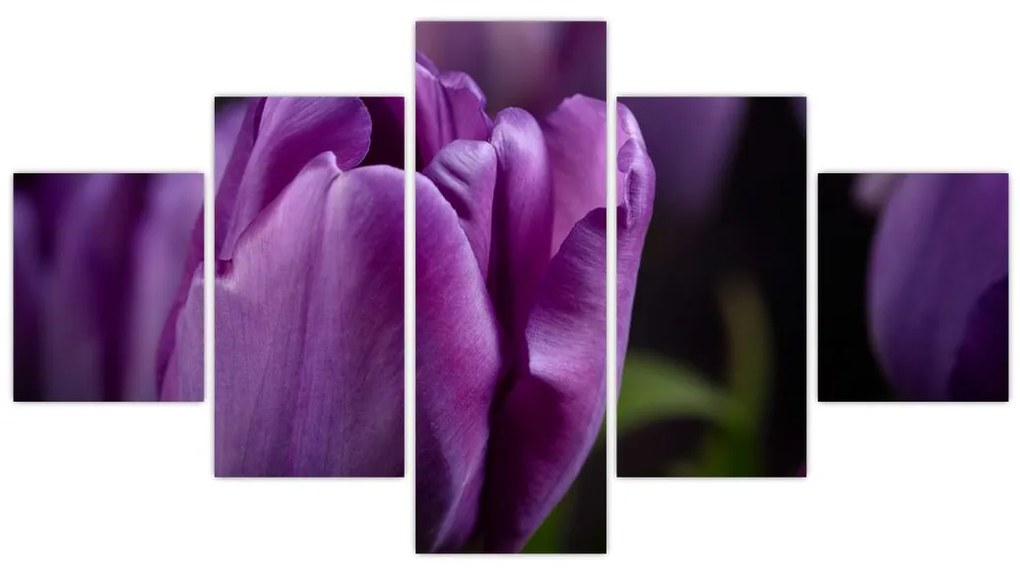 Obraz kwiatów tulipanów (125x70 cm)